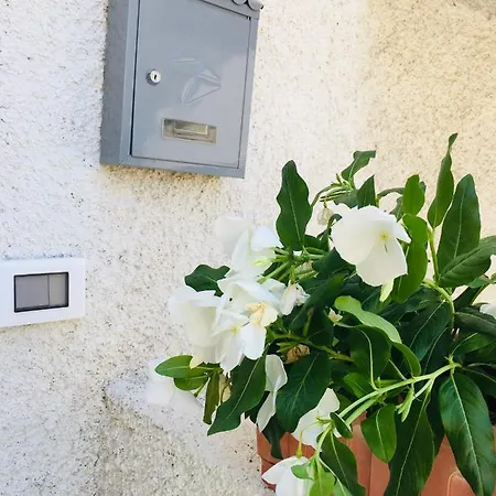 Appartamento Petit Maison *